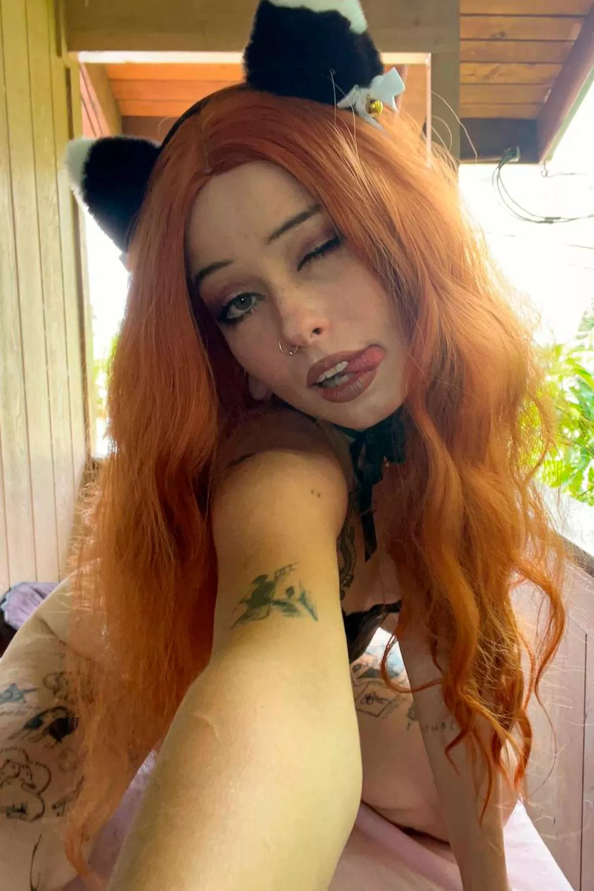 Should I use my paws, or would you let me jump on your D posted by _Fire_Sign_