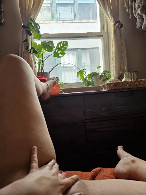 What would you do if you were my neighbor? by Fit_Object_7449