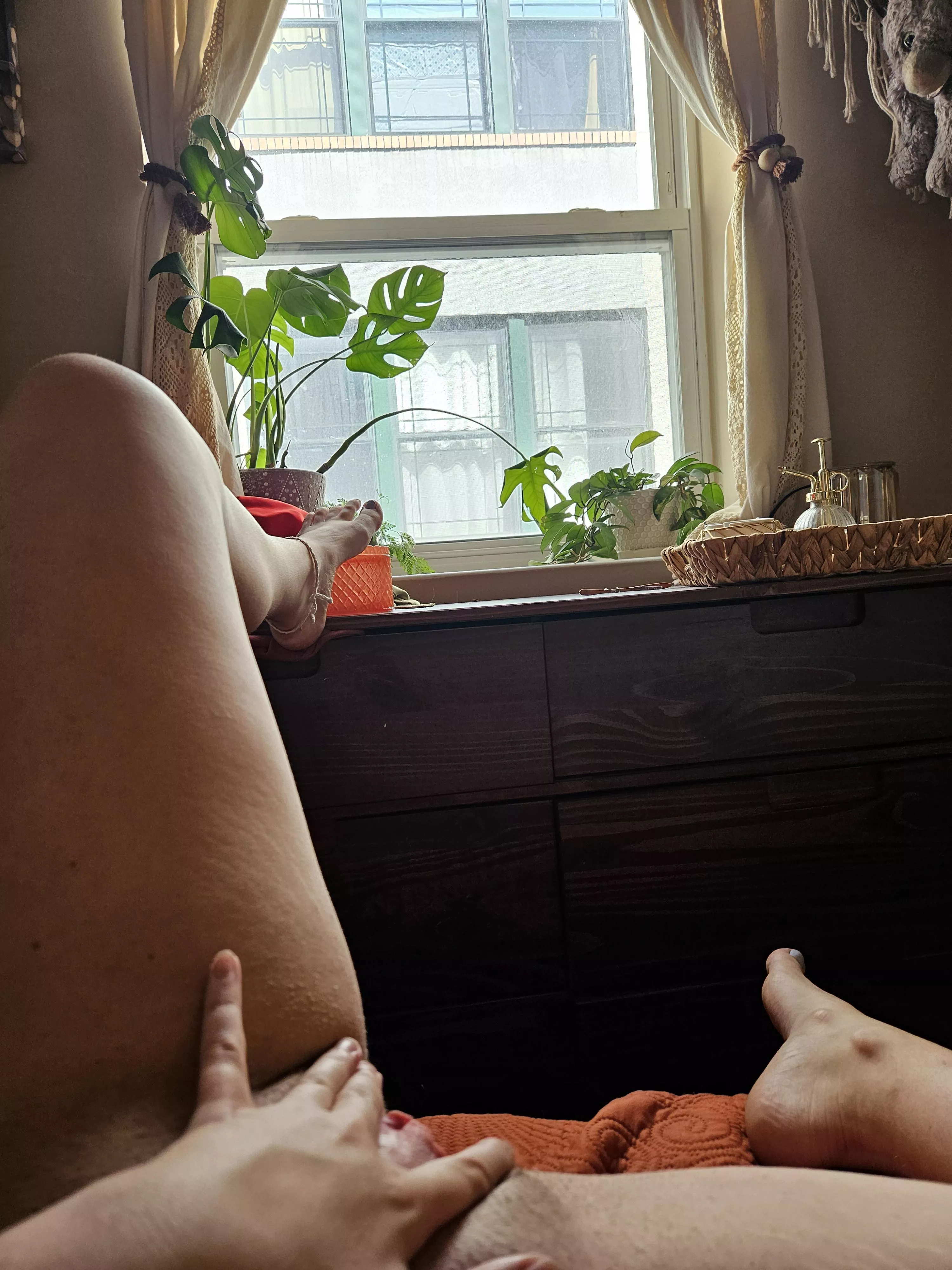 What would you do if you were my neighbor? posted by Fit_Object_7449