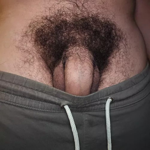 You gonna pull them down bro by Humble_Tiger_1519