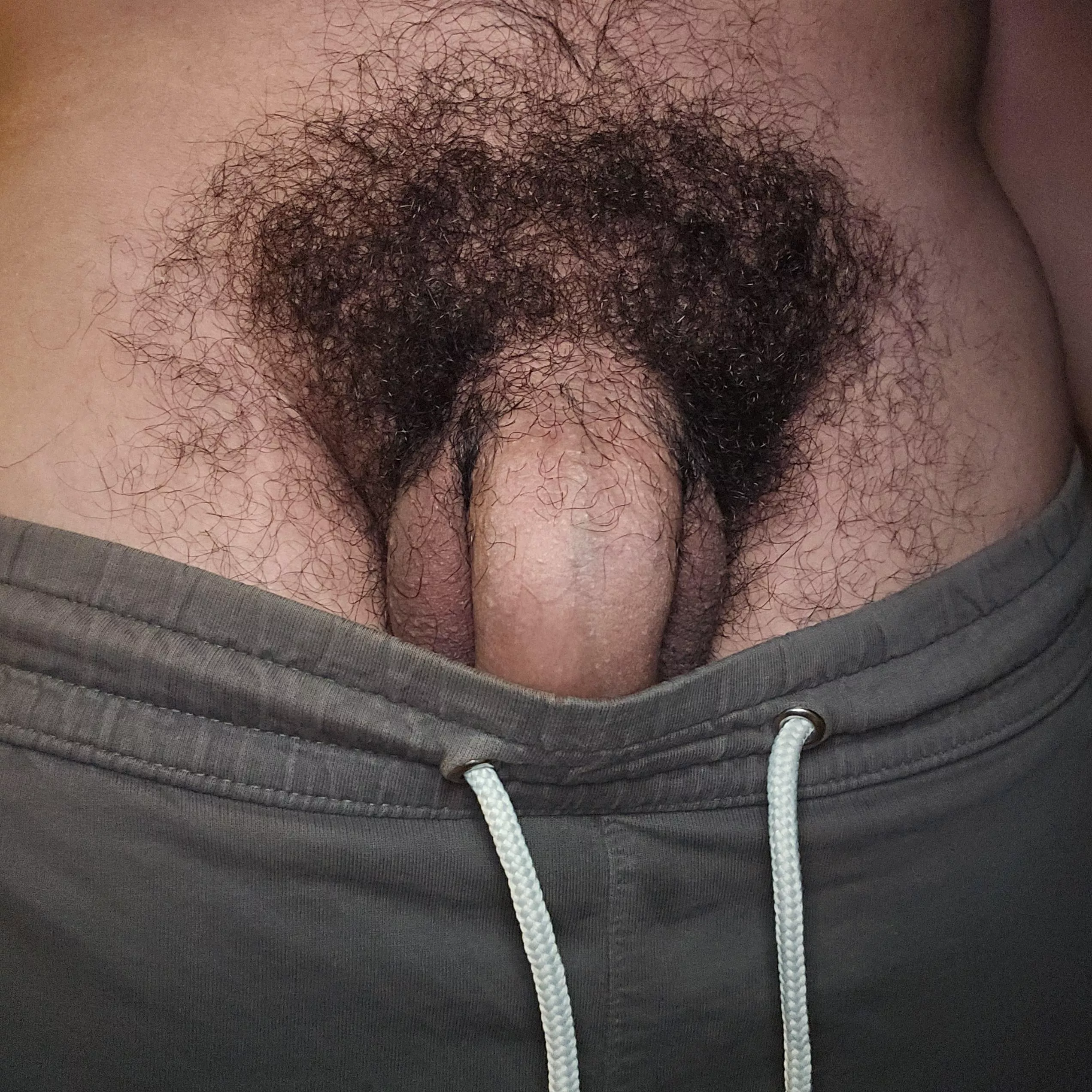 You gonna pull them down bro posted by Humble_Tiger_1519