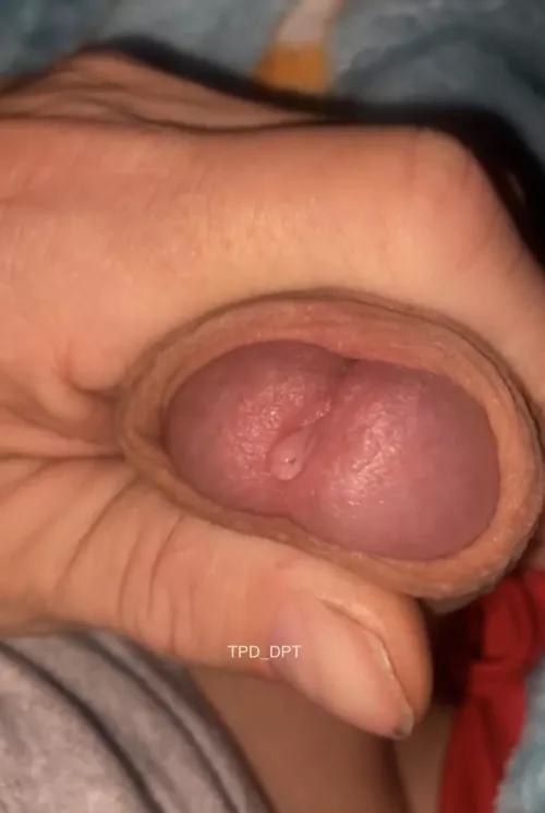 (52) How many licks before you start sucking It? by TPD_DPT