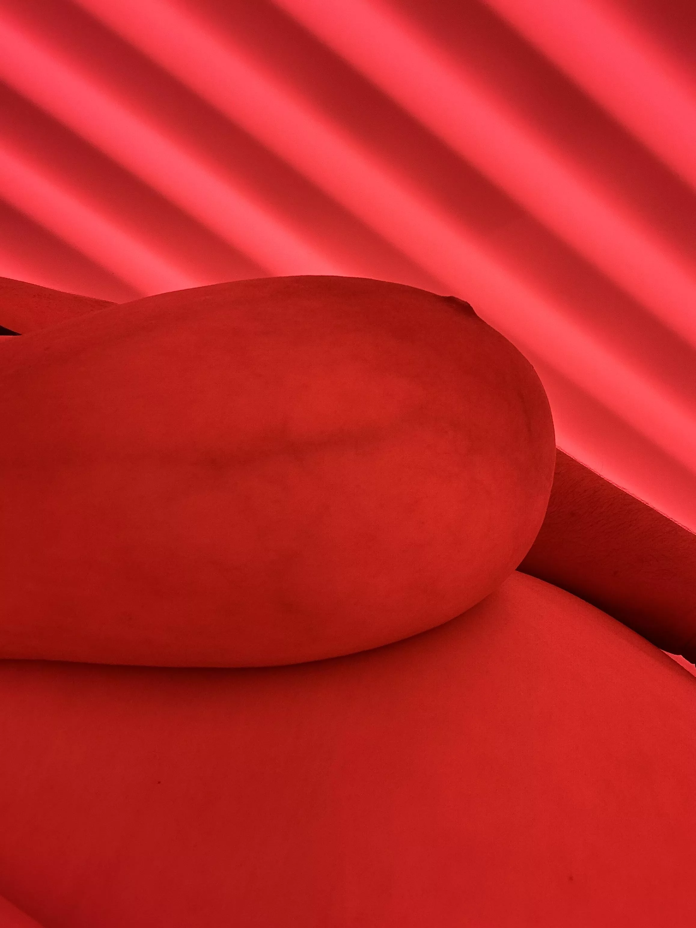 Took this gem today at the gym posted by Large_Badger8317