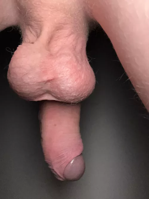 Barely legal nuts anyone? by AccomplishedPeak101