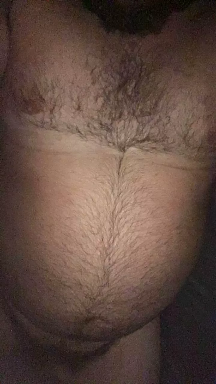 Had to do a treasure trail post for all my cub buds 🔥 posted by Sapling_Over_Yonder