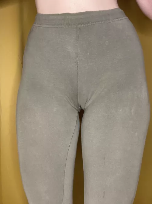 I have a special camel toe for you by TenCranium71