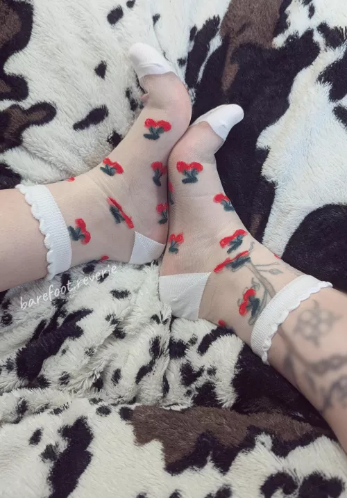 i love cute socks! i have a lemon pair too. wanna see?  by Silly_Little_Void