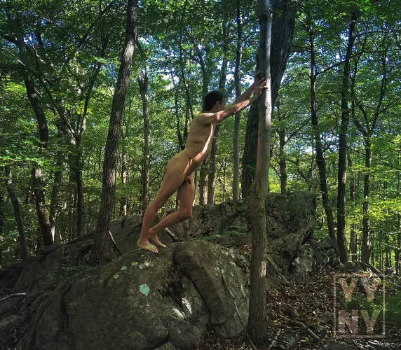 I was told to hold up this tree or all the trees in the forest would fall!! 🌳 by YangYangNY