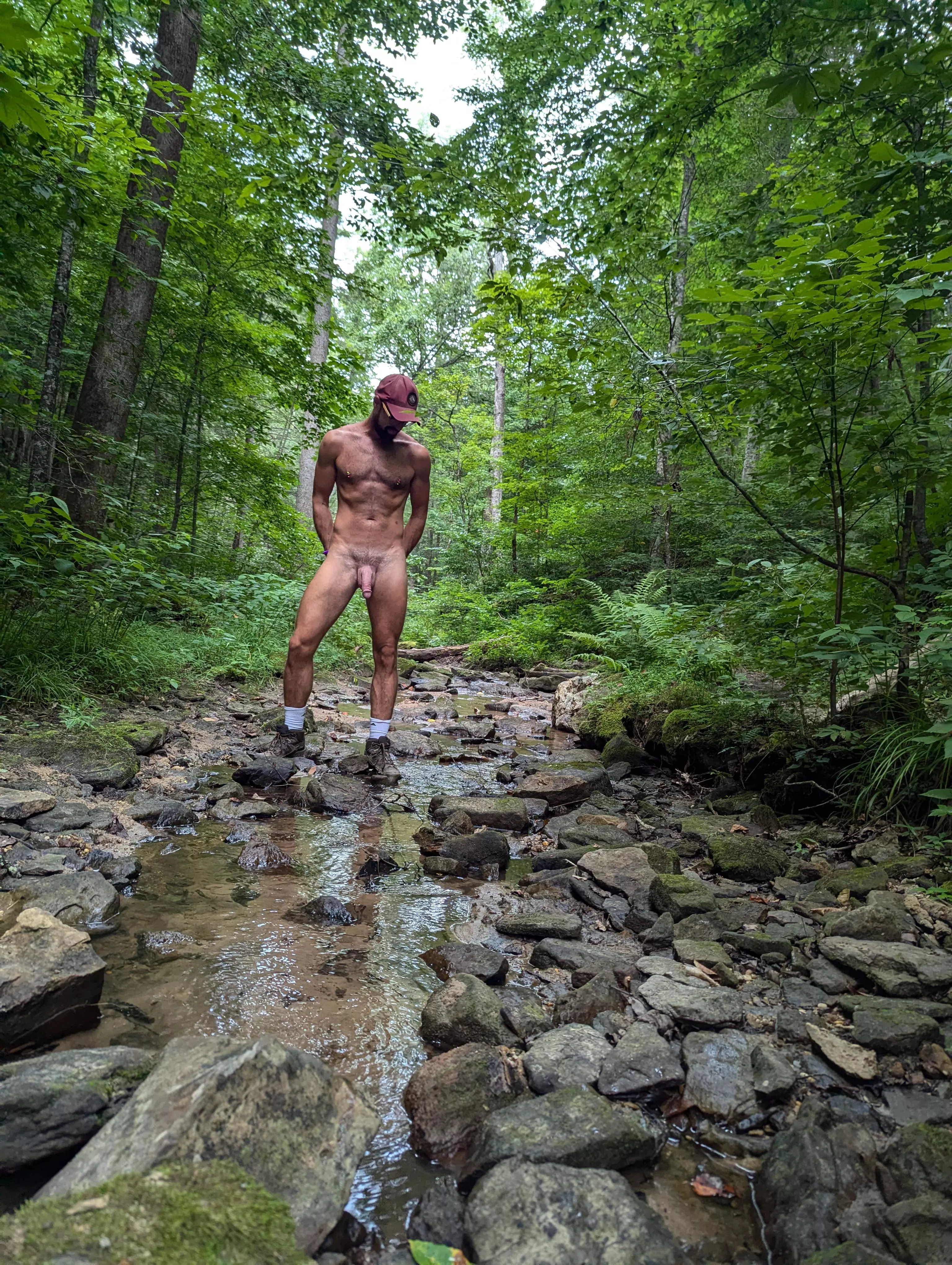 A walk in the woods posted by kinkergarten