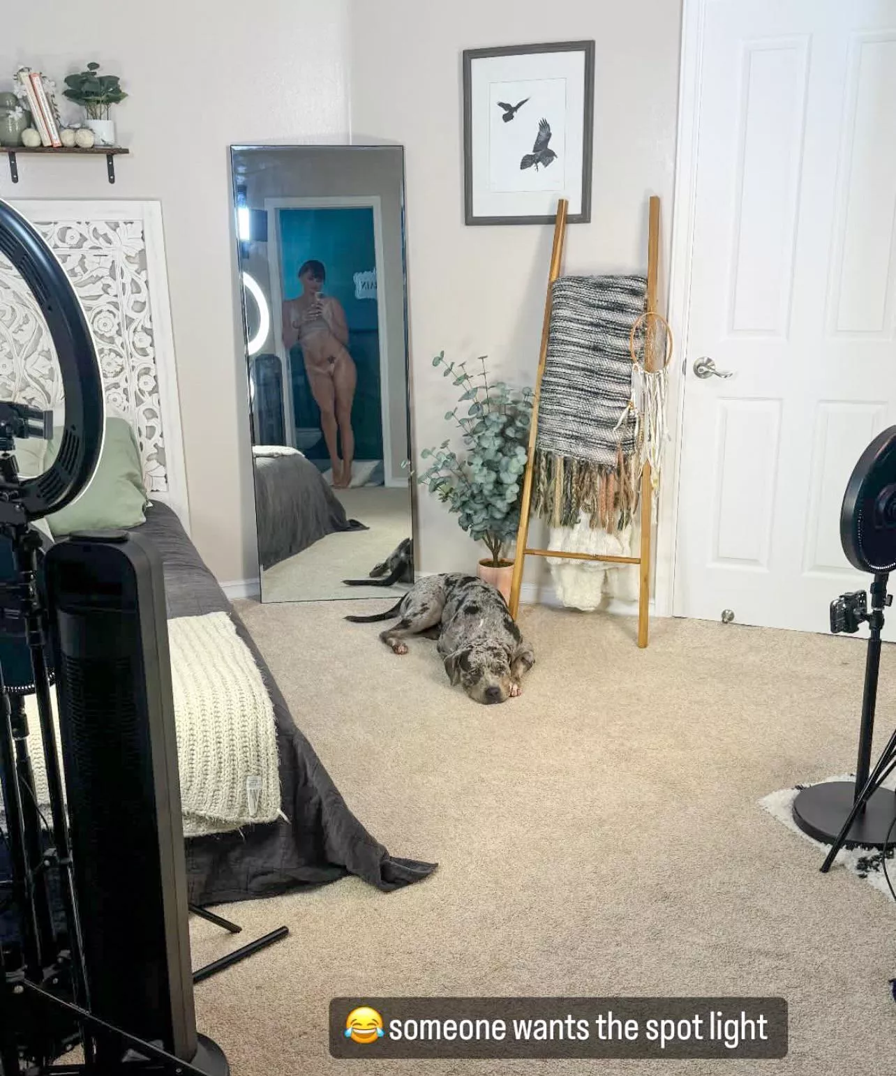 Making content posted by dbl_secret_redditor