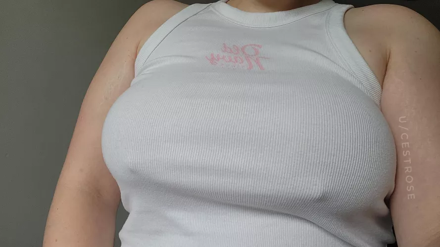 Poking around this Sunday by cestrose