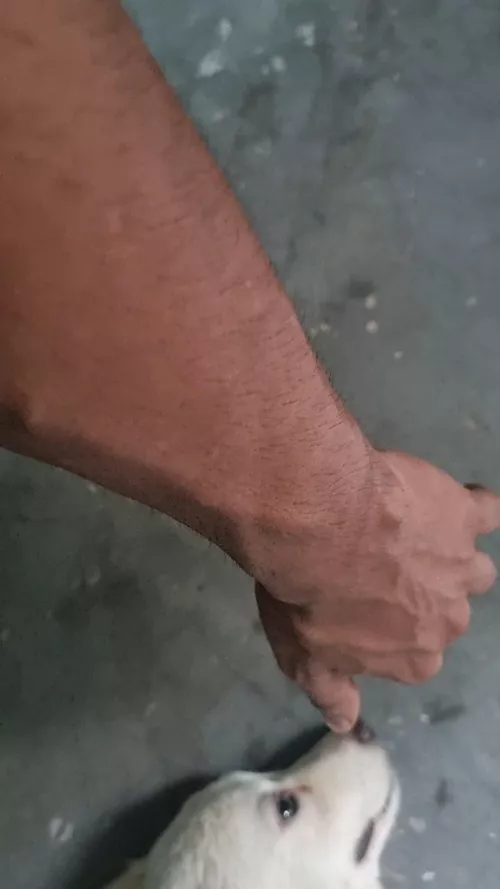 wgo wants to get choked by these by Powerful-Ground1874