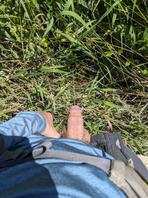 When Nature Calls by Professional_Move554