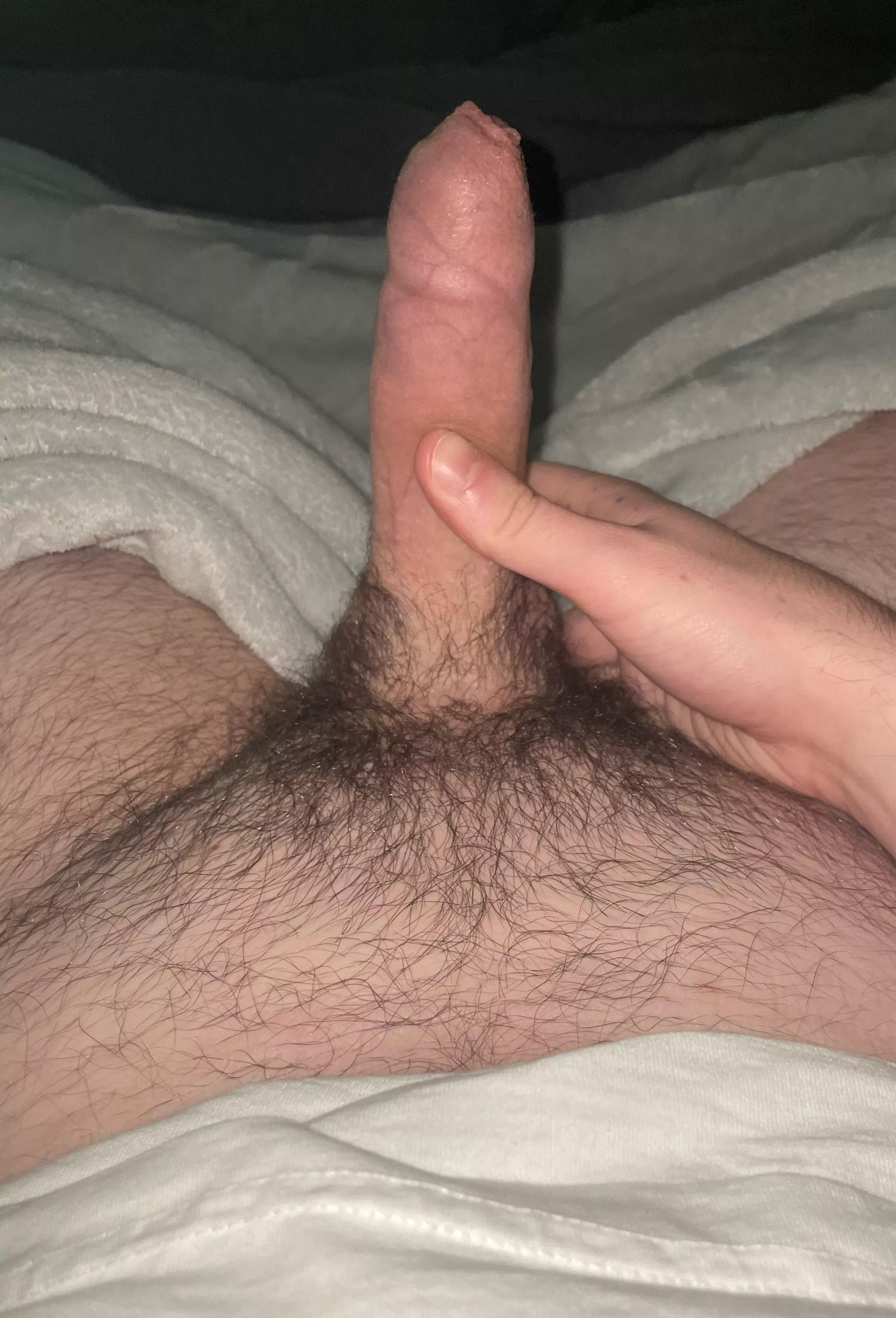 20 m looking to jerk and cum live with other guys @caelc18 posted by yeahyeett