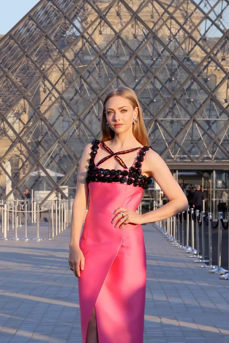 Amanda Seyfried posted by Professional-Party37
