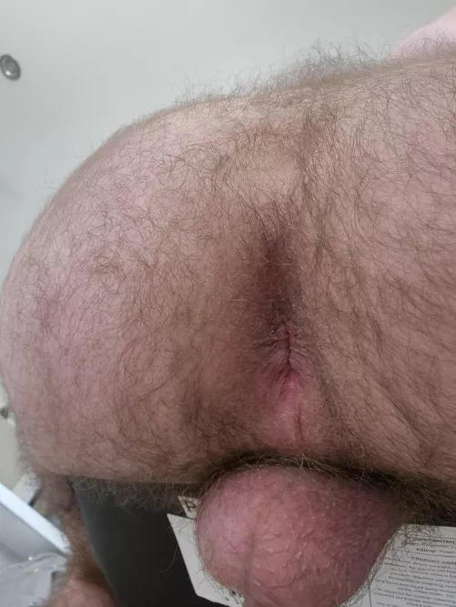 Anyone want to slide their cock in my tight hairy man ass?  by sik8008