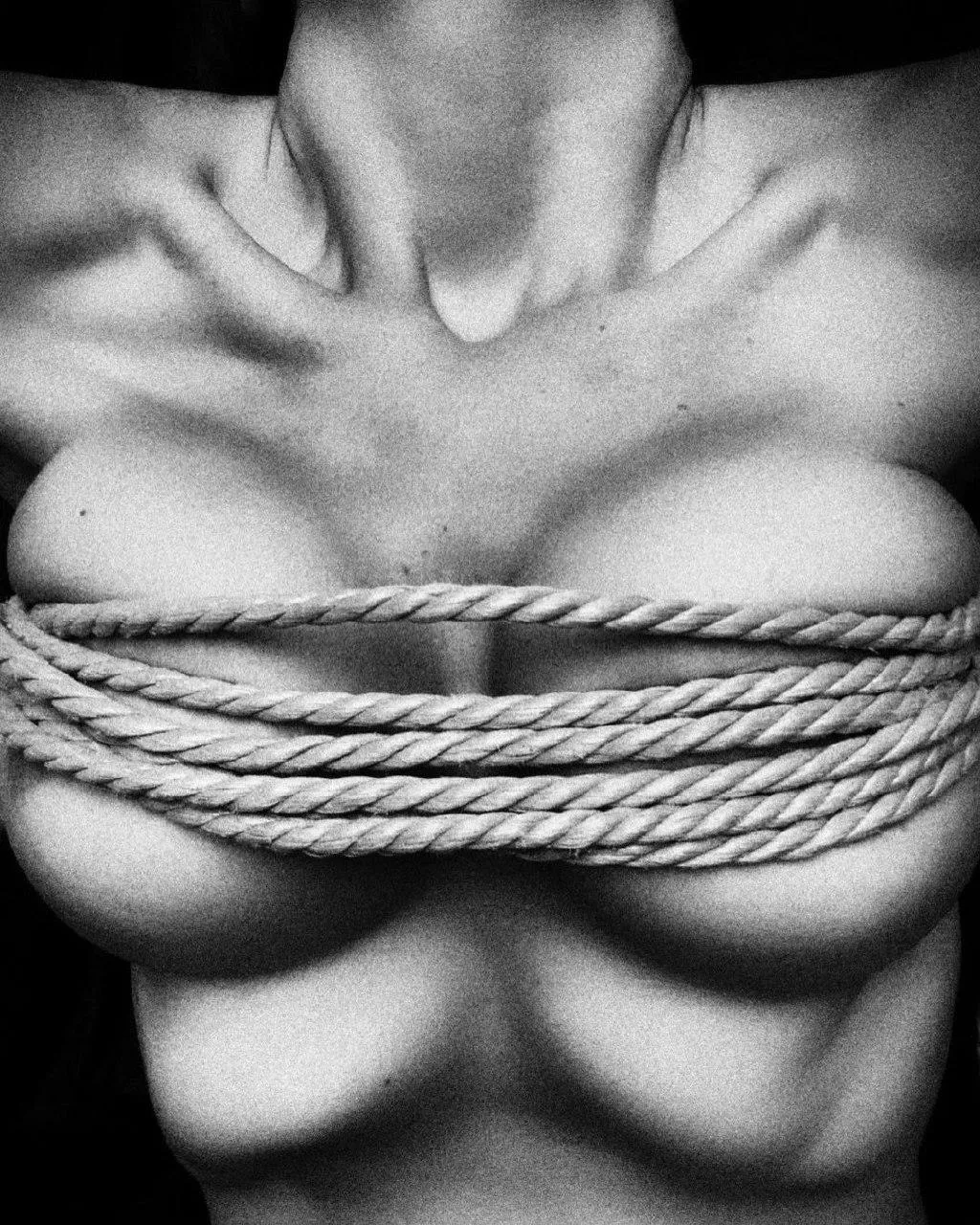 Bust  posted by inspect6374