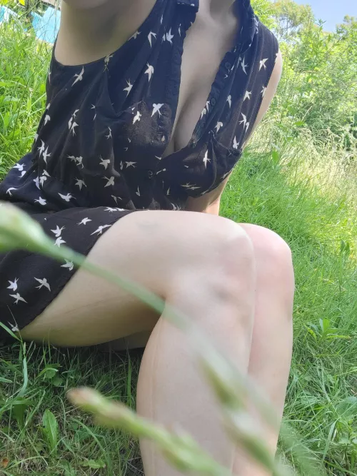 Enjoying the sun and the green grass  by MarieAtwood