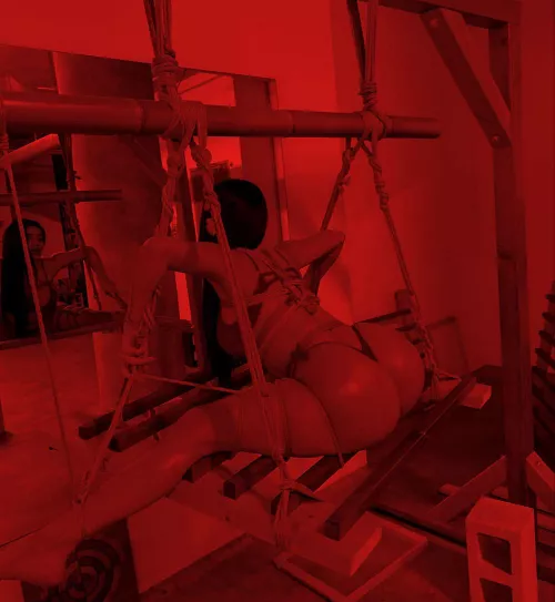 Flexible bunny ropes by inspect6374