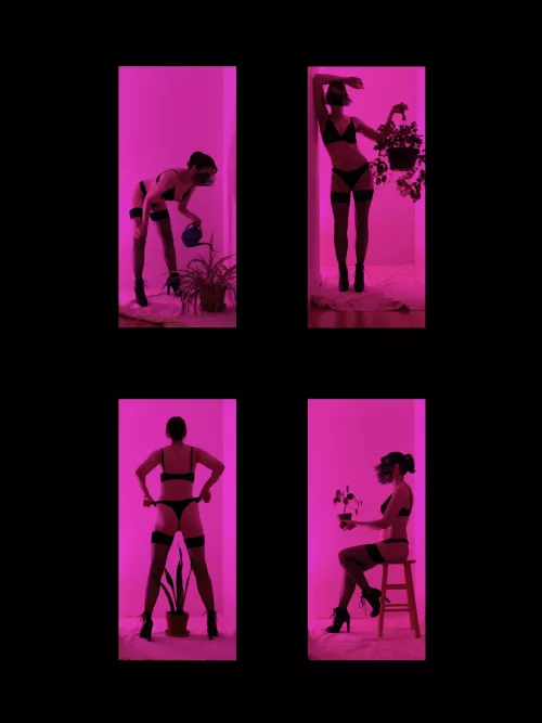 Grow Light District by last_ineffable_day