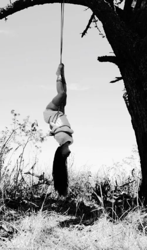 In suspension  by inspect6374