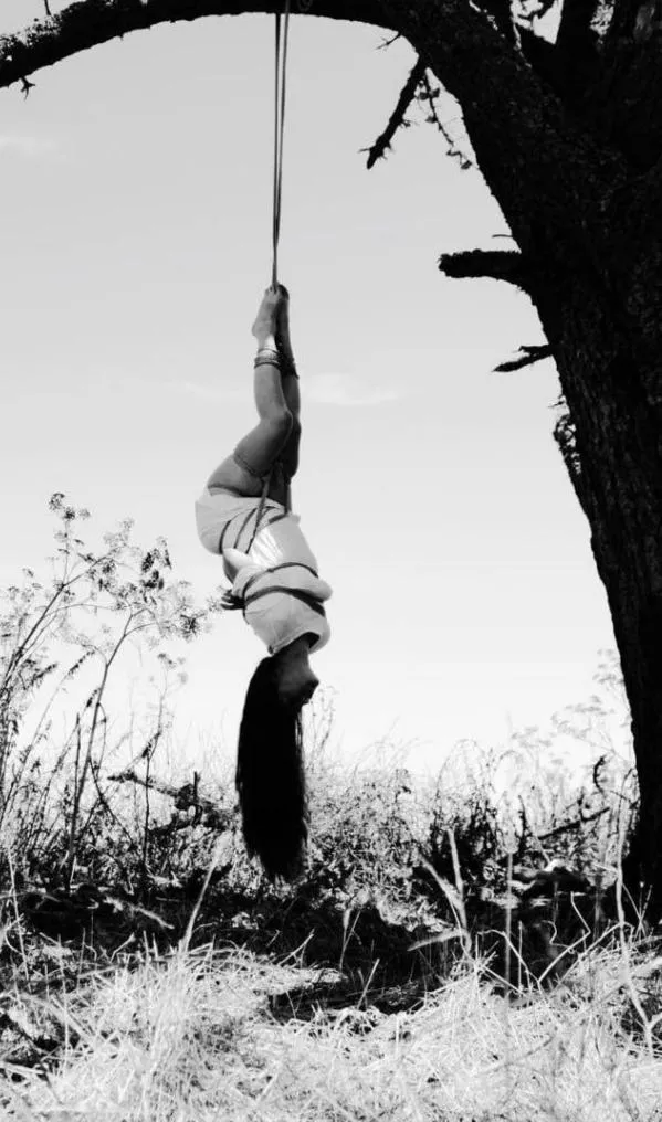 In suspension  posted by inspect6374