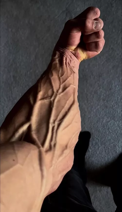 No caption needed by wmerhie