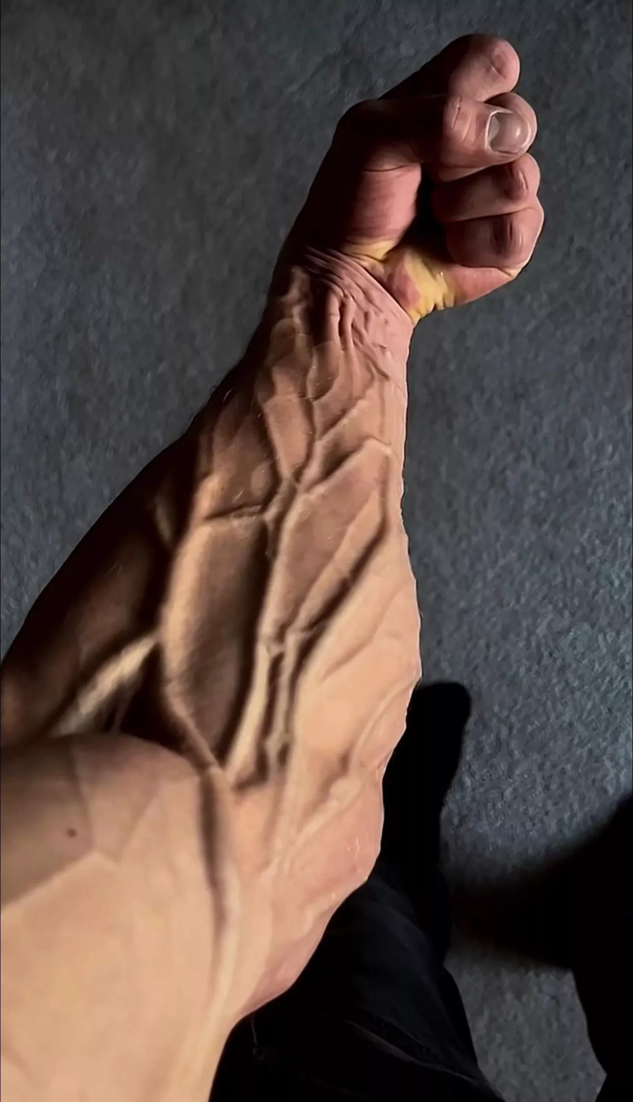 No caption needed posted by wmerhie