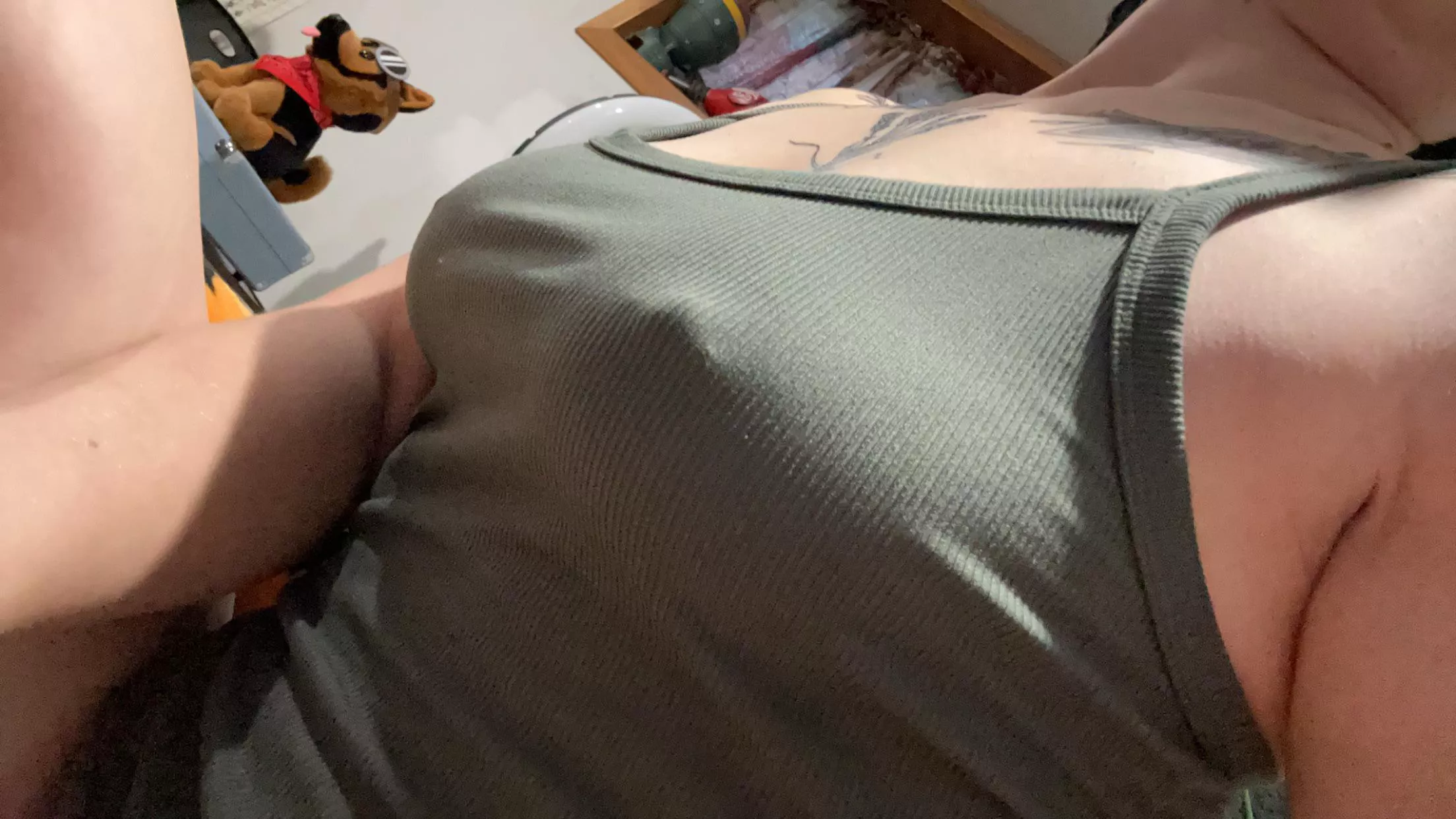 Pokies in green  posted by rawrplatypus