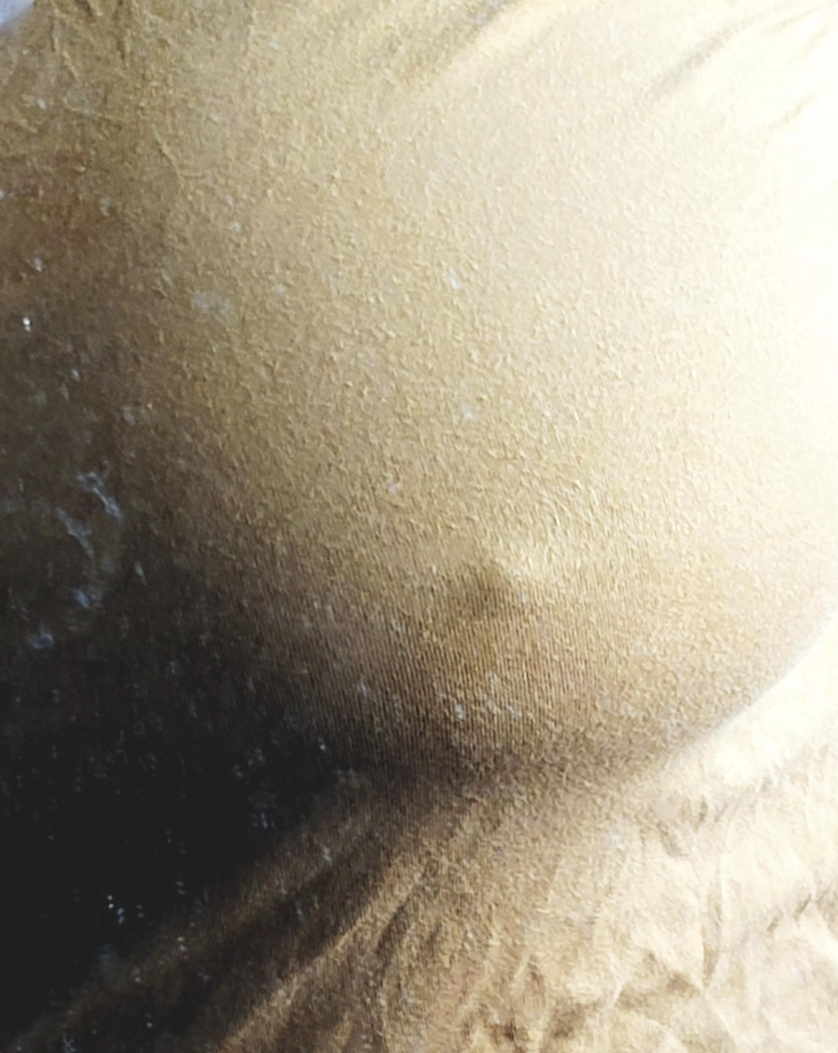 shirt's a little wrinkled  posted by beepboop607