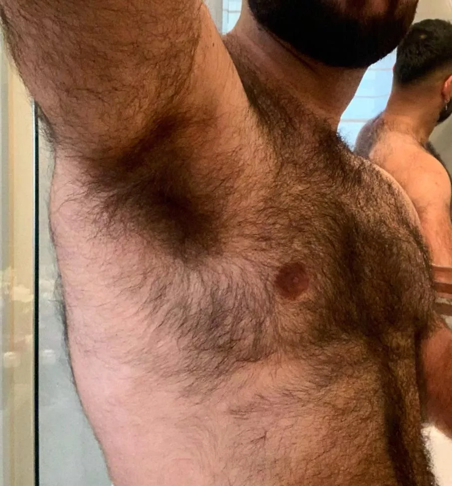 Smells like alpha male sex pheromones  posted by gymfur