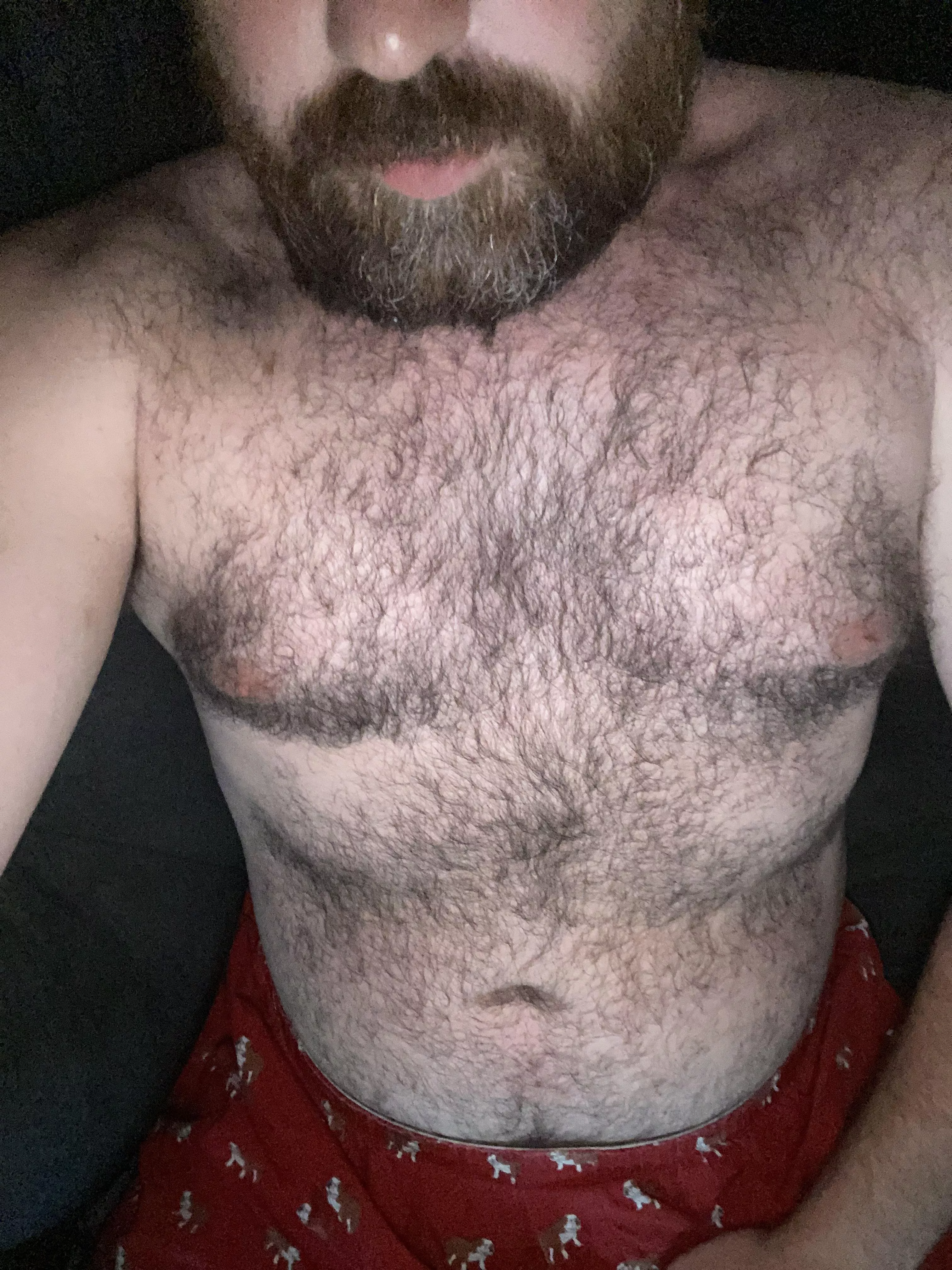 Want to cuddle?  posted by LoonPoint207