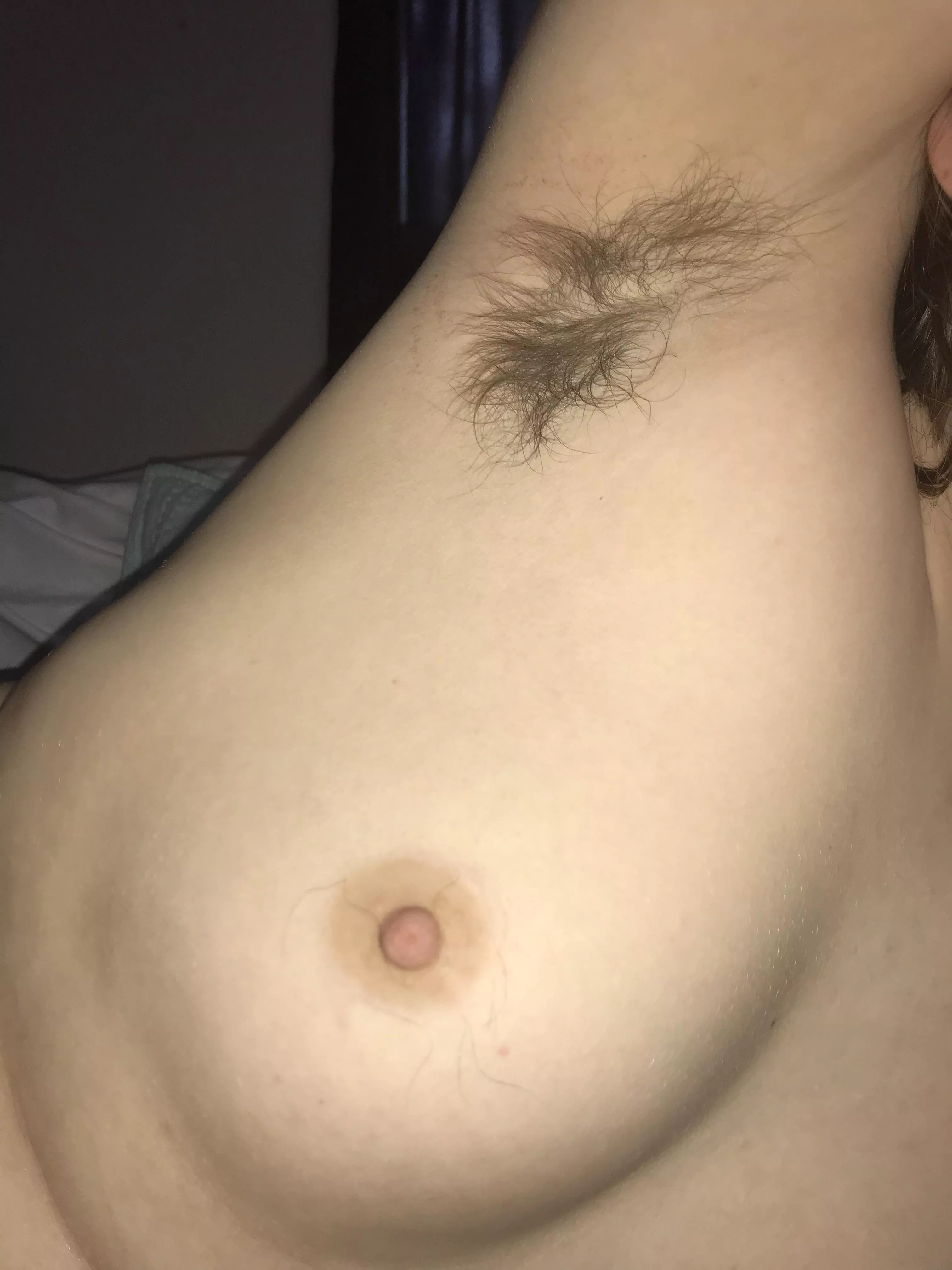 You see my hairy pits when I take off my shirt - a welcome surprise? posted by DaisyLeonXXX