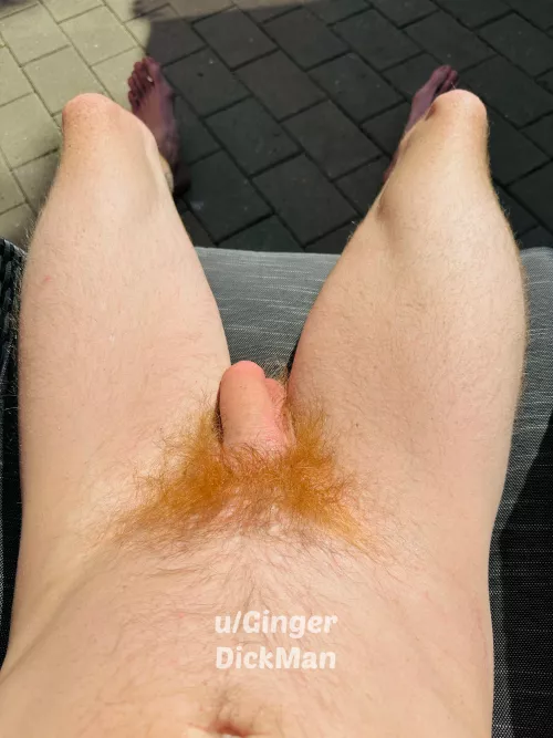 1-10 what does my red bush score  by GingerDickMan