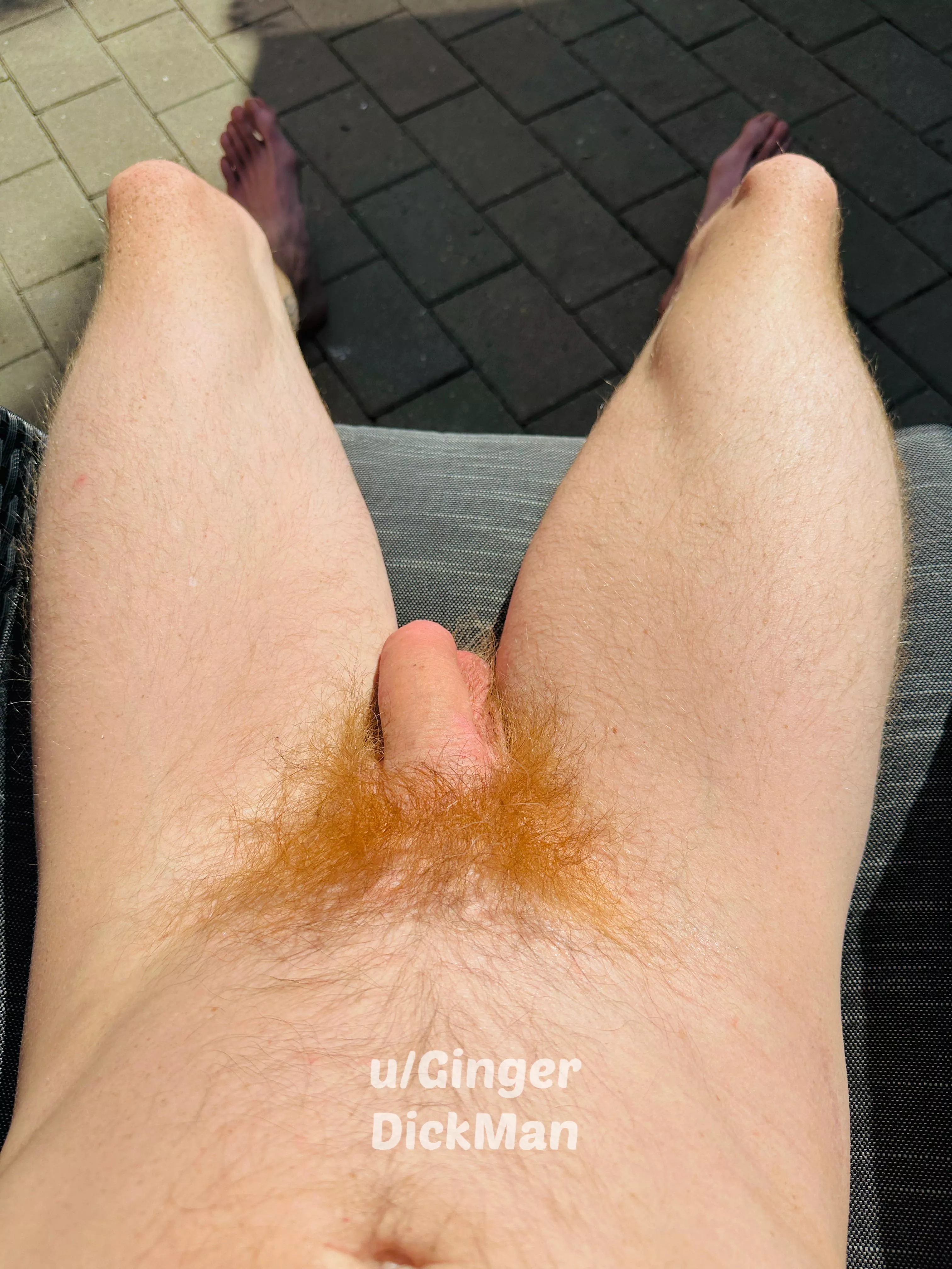 1-10 what does my red bush score  posted by GingerDickMan