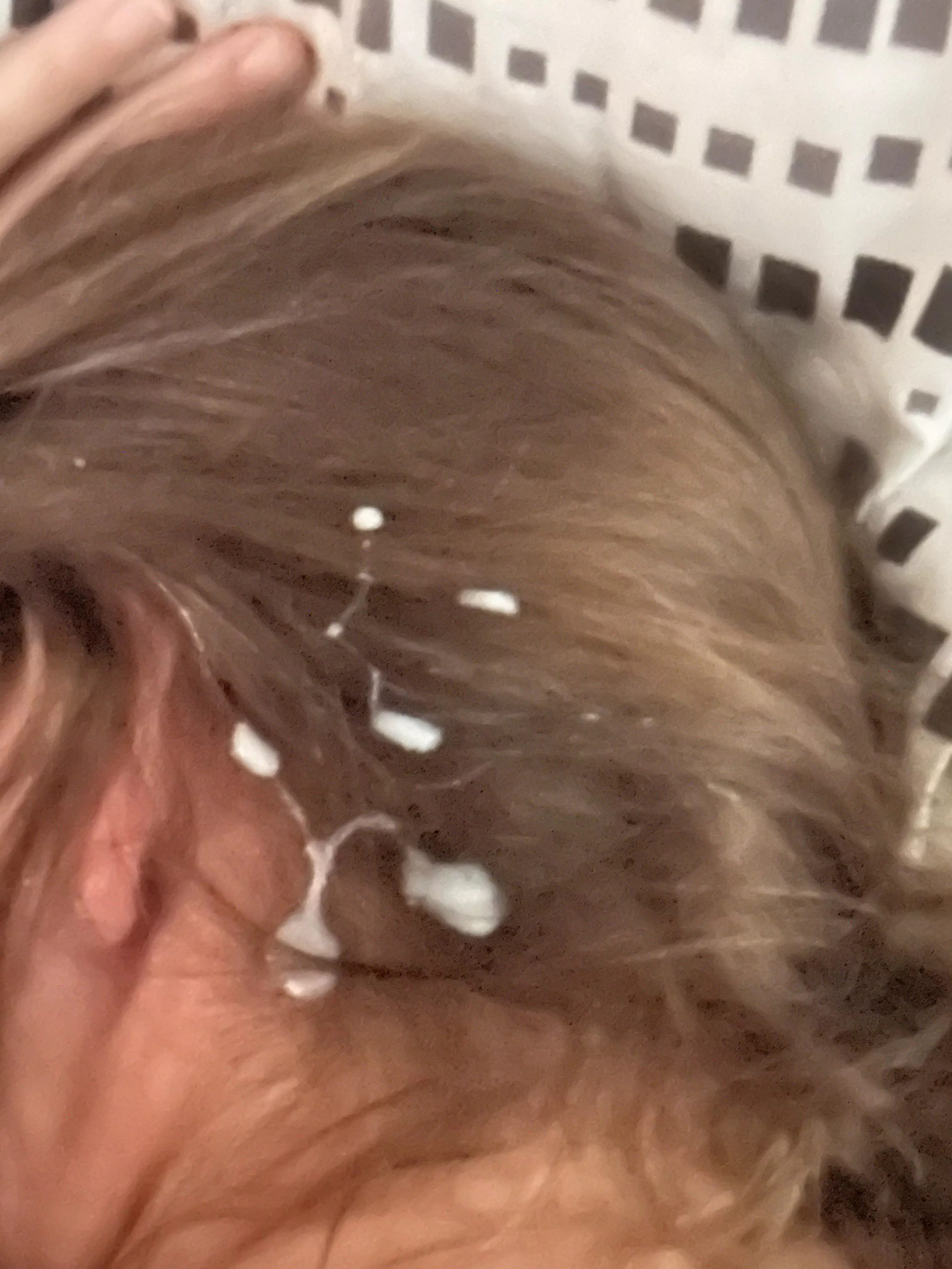 Another session posted by Bodhie1970