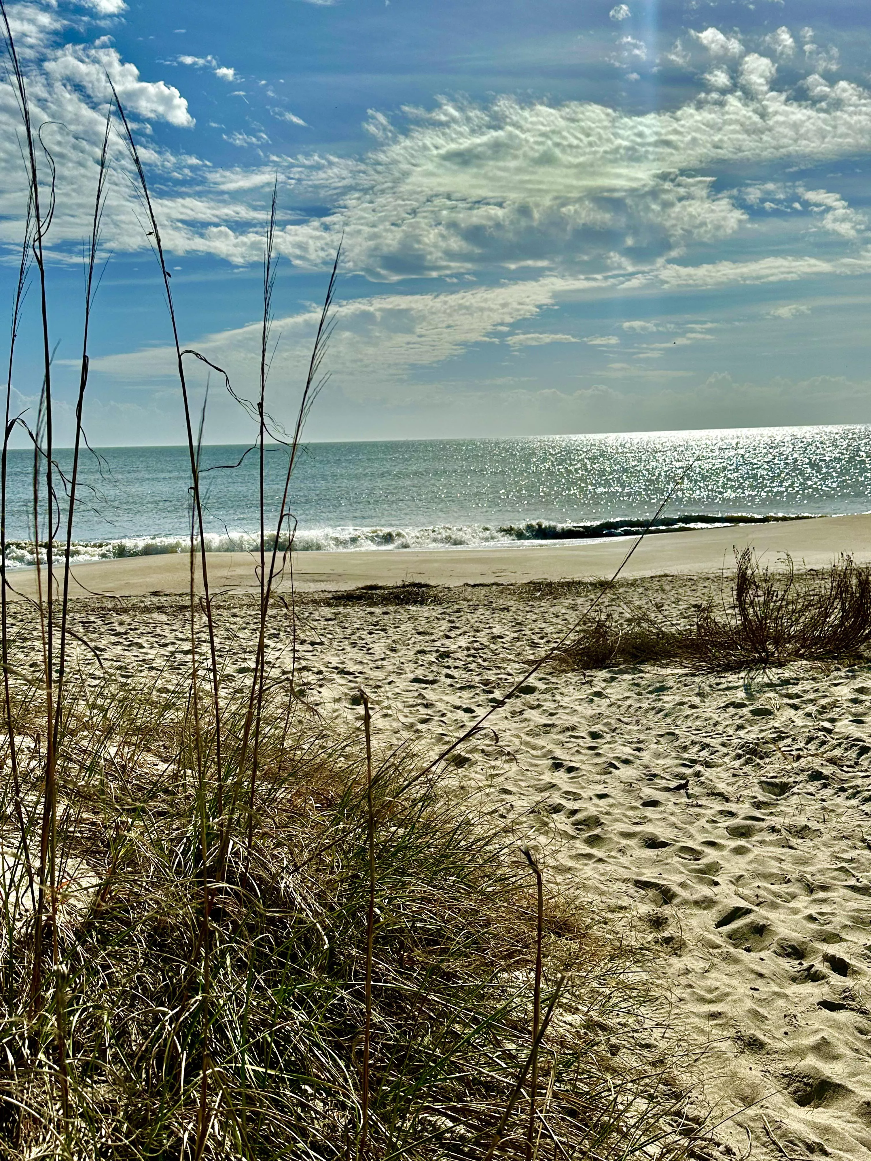 Happiness comes in waves posted by Adventuregirl41