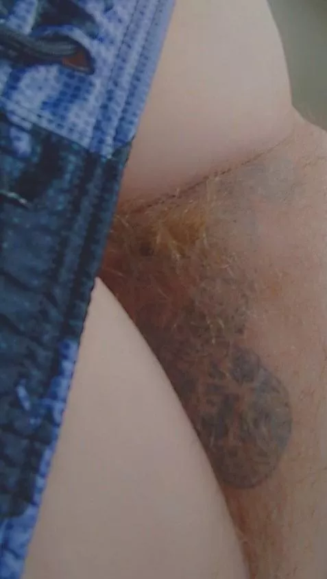 Have you experienced a redhead yet....  posted by Milfsnax