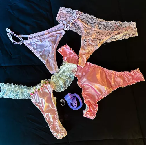 On Wednesdays we wear pink. Which pair did she pick for me today? by BikiniRumRunner