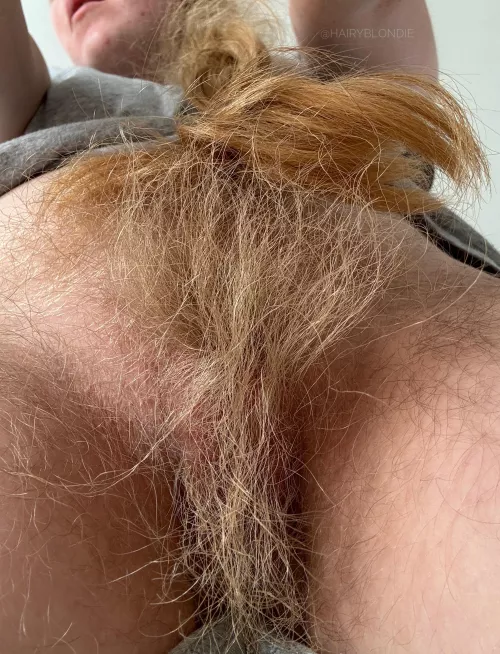 Welcome to the jungle by efiwfsn