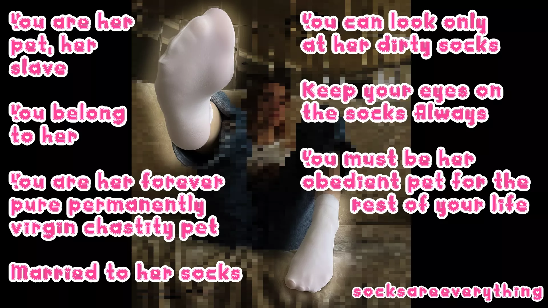 You are just a beta obedient little SocksSexual pet. Look only at the Socks always and forever stupid. posted by SocksAreEverything