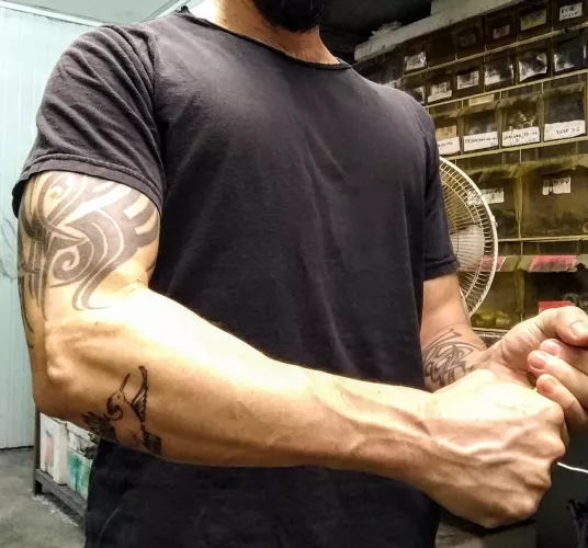 (42) tighten up on your reins by AMPE82