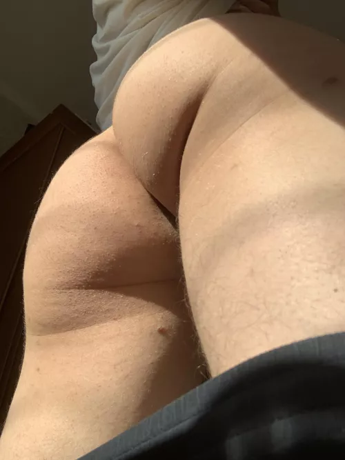 Be my chair for today  by LeoNewt3