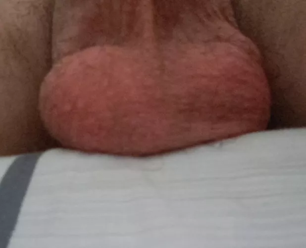 Full balls want to be sucked by No_Click_9769