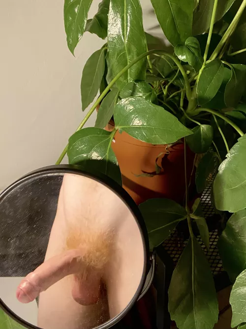 guess who’s dirtier, me or the mirror ? by danvision