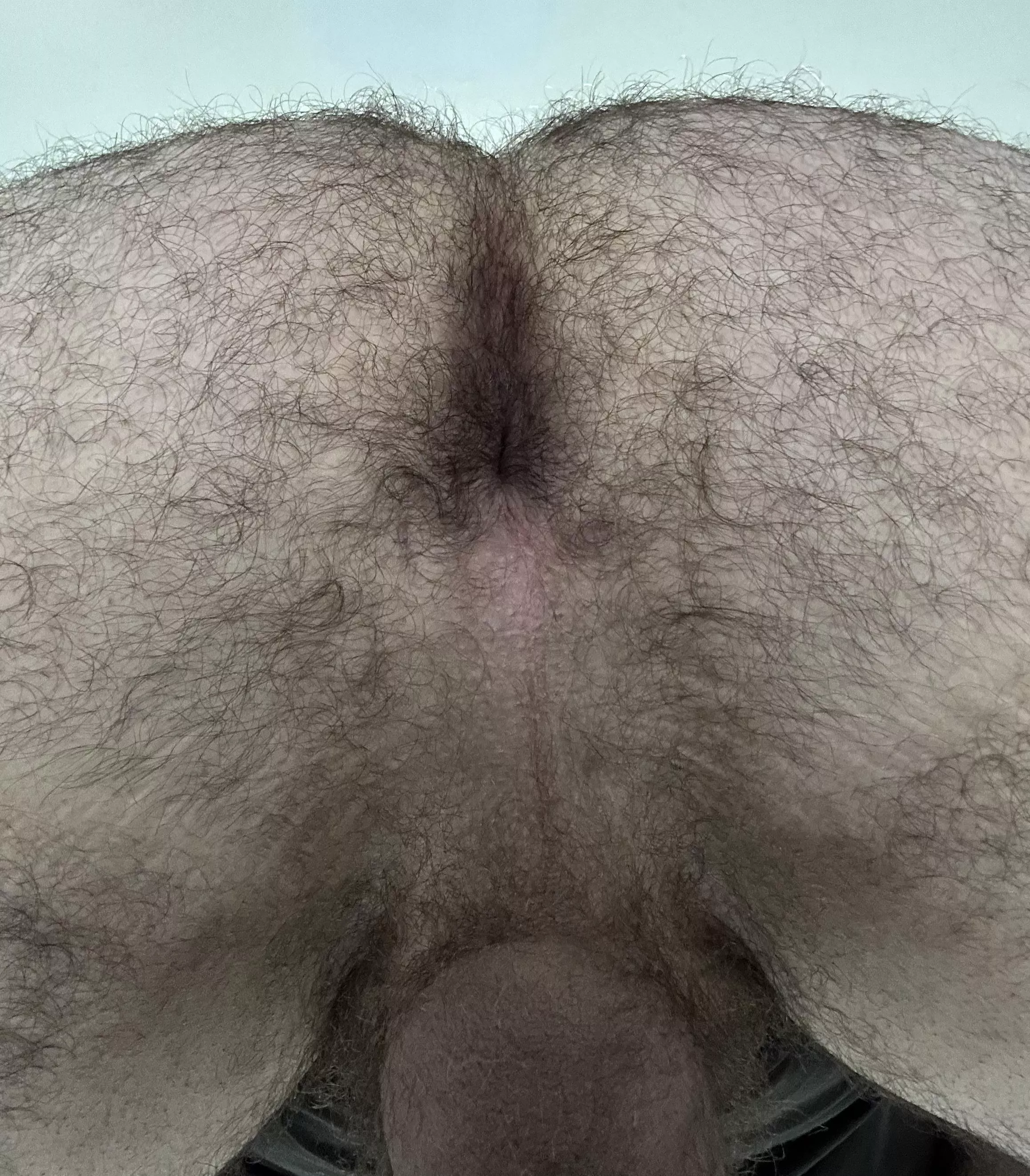 How's the view? posted by best-hole