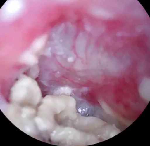 I finally have something amazing but I'm too stupid to figure out how to post it by KldsTheseDays