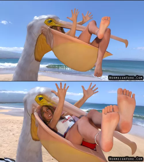 {Image}Pelican Eats Lifeguard(?/Pelican)(F/Human)(Soft)(Oral)(unwilling)(nsfw)(OC: WormsignVore Animations)  by WormsignVore