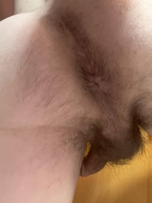 A little hair doesn’t make it any less cute does it by Casually_Nude_Guy