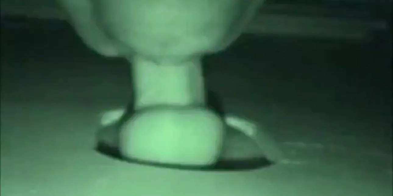Can you help me find this video?   posted by Annual-Blueberry-705